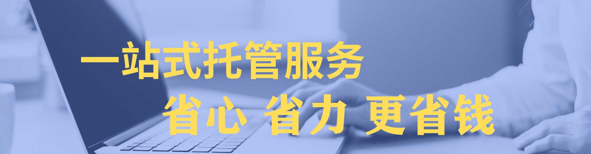 定陶竞价排名